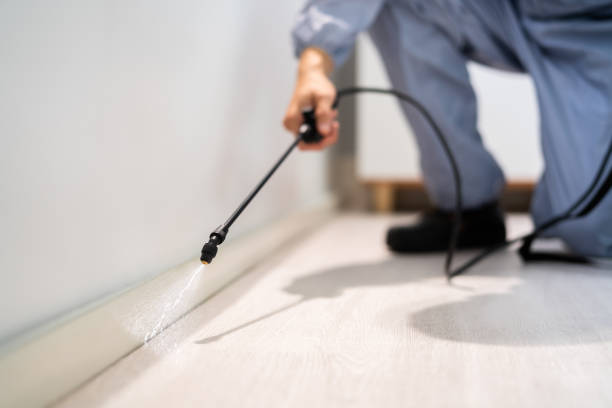 Licensed Mosquito Control service in Richton, MS - Show Me Pest Control