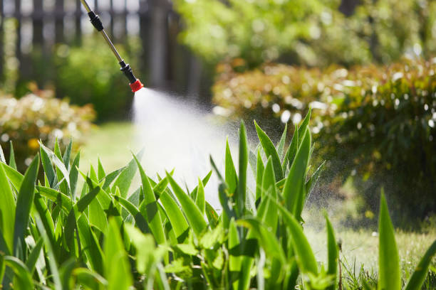 24/7 Emergency Mosquito Control experts in Richton, MS