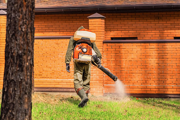 Top rated local Mosquito Control specialists in Richton, MS